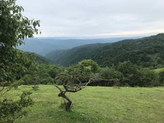 -关山草原