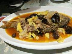 黄河口大鲤鱼-鲁城往事(游客中心店)