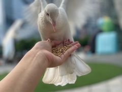 -IPARK购物中心