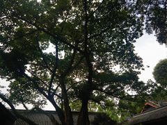-成都武侯祠博物馆