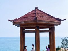 -广东惠东海龟国家级自然保护区