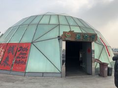 -上海都市菜园
