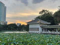 -荔湾湖公园