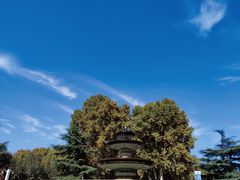 -河南省黄河迎宾馆