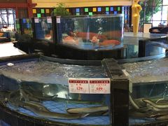 水产区-小榄人家酒楼(民安店)