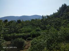 -湾里人家(旺山景区店)