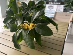 -宁波之星奔驰4S店(海曙店)