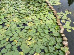 -昆山城市生态森林公园