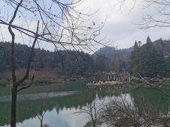 -四明山国家森林公园