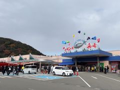 -海鮮寿司とれとれ市場