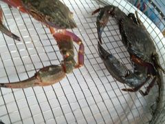 -海味当家·蒸锅海鲜(星海公园店)