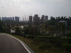 -东岳体育公园