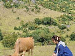 -大姆山草场