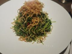 巧拌豆苗-四季民福烤鸭店(西单华威约饭街店)