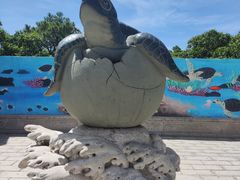-广东惠东海龟国家级自然保护区