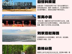 -日照海滨国家森林公园
