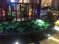 -水晶之星洗浴温泉汗蒸