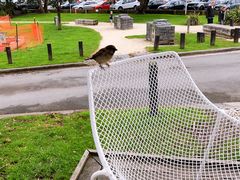 -Takapuna Beach Cafe