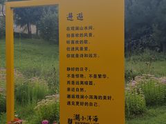 -观澜小洱海