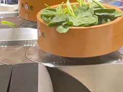 -龍歌自助小火锅(市南金茂湾店)