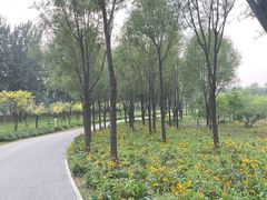 -东郊湿地公园