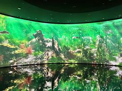 -中国湿地博物馆