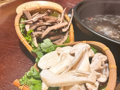 -滇野云南野生菌餐厅(陕西南路店)