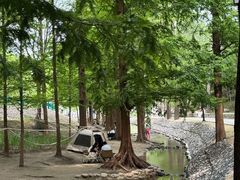 -白水寺森林公园
