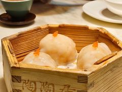 -陶陶居·雅园(凯华国际店)