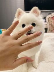 点击看大图 -KING NAIL 日式美甲美睫