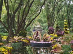 -上海共青森林公园