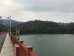 -佛山市三水区大南山森林公园