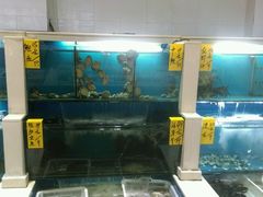 -老虎滩船说·海胆水饺·大连海鲜(老虎滩店)