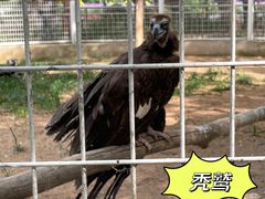 -秦皇岛野生动物园