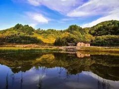 -终南山国家森林公园