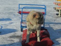 -人民防洪胜利纪念塔