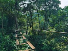 -芦仙山景区-飞越丛林探险乐园