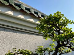 -中山公园