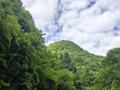 -娄山关景区