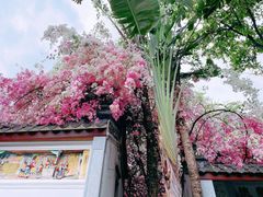 -深圳国际园林花卉博览园