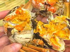 -蟹天蟹地农家菜·阳澄湖大闸蟹(浅水湾店)
