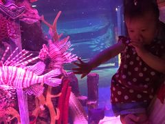 -沈阳海洋探索中心