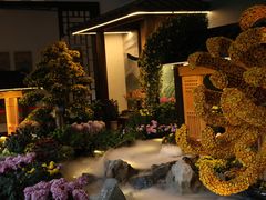 -杭州植物园