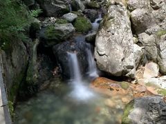 -牛背梁国家森林公园