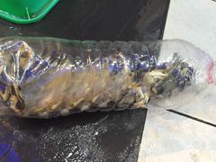 -旅南活海鲜-屏东(墾丁海鮮，海鮮餐廳，墾丁團體合菜，平價熱炒，墾丁熱炒店，活海鮮推薦，在地海鮮餐廳)