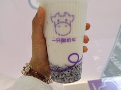 -一只酸奶牛(洪崖洞11楼店)