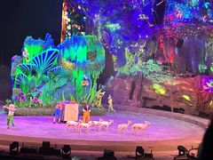 -广州长隆国际大马戏