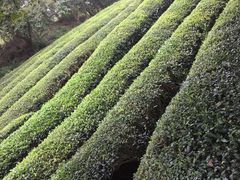 -敬亭山风景名胜区