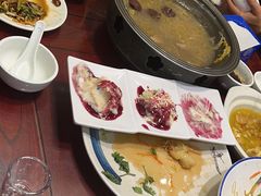 -邵年鸽(杨庄店)
