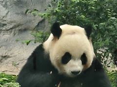 -石排湾郊野公园